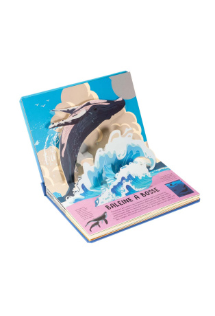 Baleines et dauphins