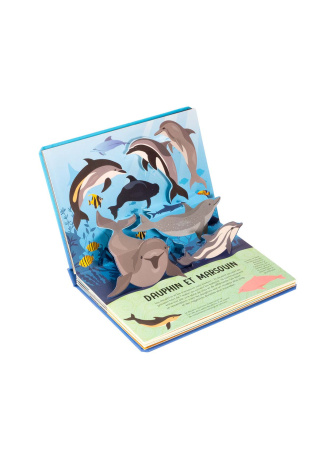 Baleines et dauphins