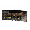 Je suis un T-rex - Pop-up