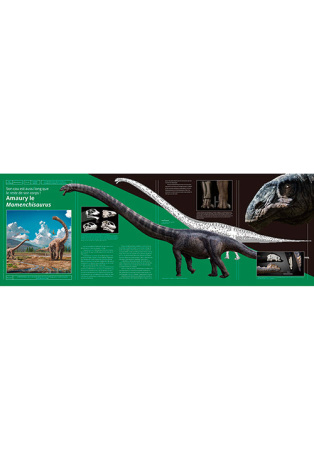 Dinosaures - Herbivores majestueux