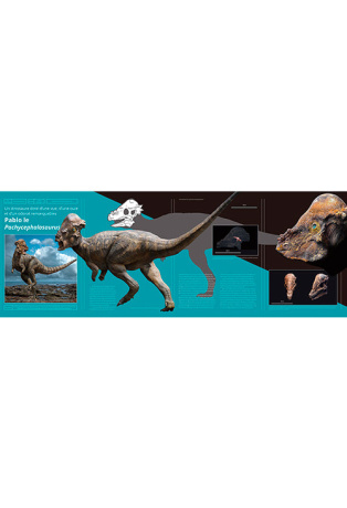 Dinosaures - Herbivores majestueux