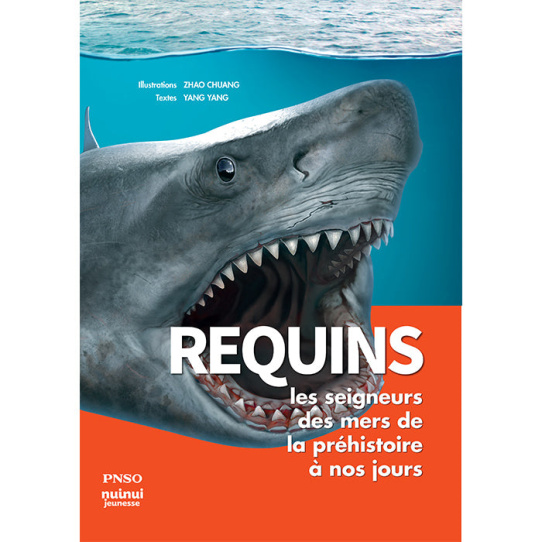 Requins - Les seigneurs des mers de la préhistoire à nos jours