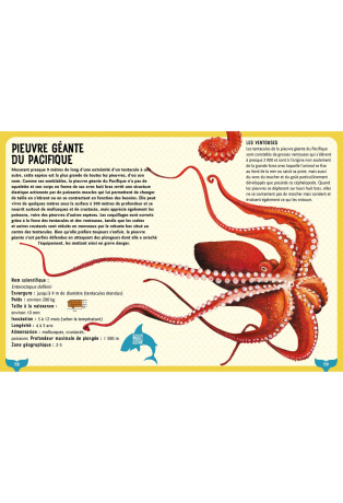 Guide des requins et baleines et autres géants de la mer