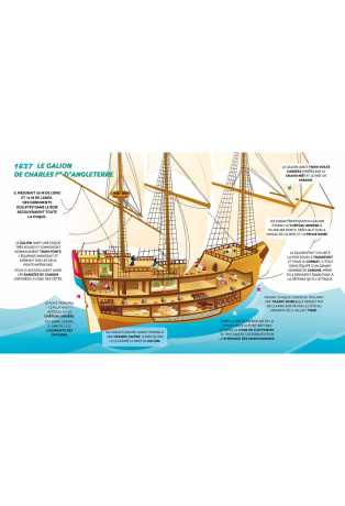 Voiliers - De la felouque égyptienne aux catamarans à foils