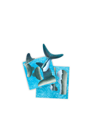 Construis en 3D un requin géant