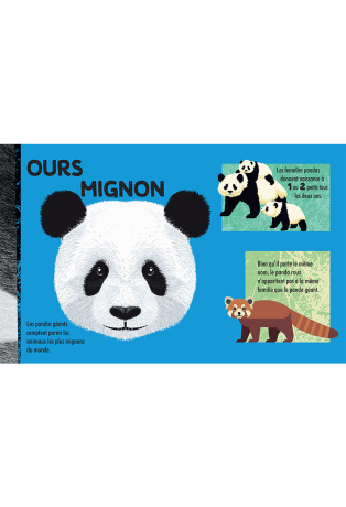 Construits en 3D un panda géant - Avec 1 livre