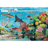 Guide des poissons du monde