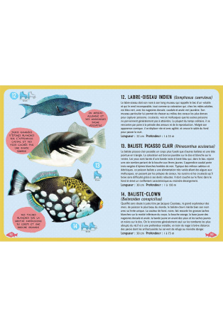 Guide des poissons du monde