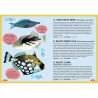 Guide des poissons du monde