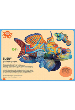 Guide des poissons du monde