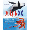 Océan XXL