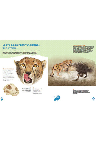 Les yeux dans les yeux