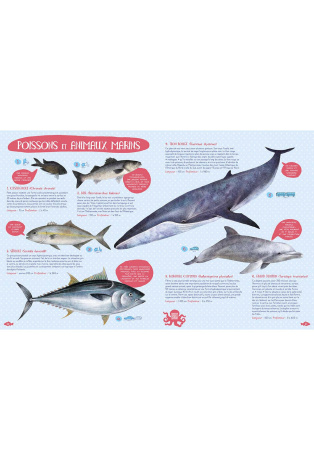 Poissons du monde et autres animaux marins