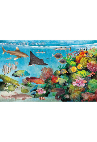 Poissons du monde et autres animaux marins