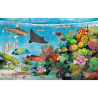 Poissons du monde et autres animaux marins