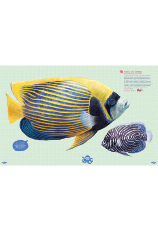 Poissons du monde et autres animaux marins