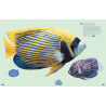 Poissons du monde et autres animaux marins