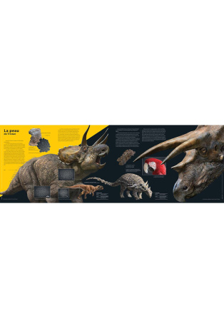 Tricératops - Le dinosaure blindé