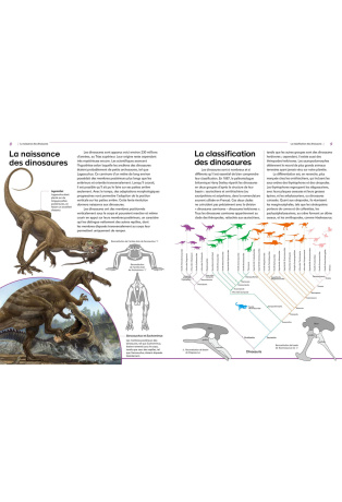 Dinosaures - Apparition, rayonnement, extinction