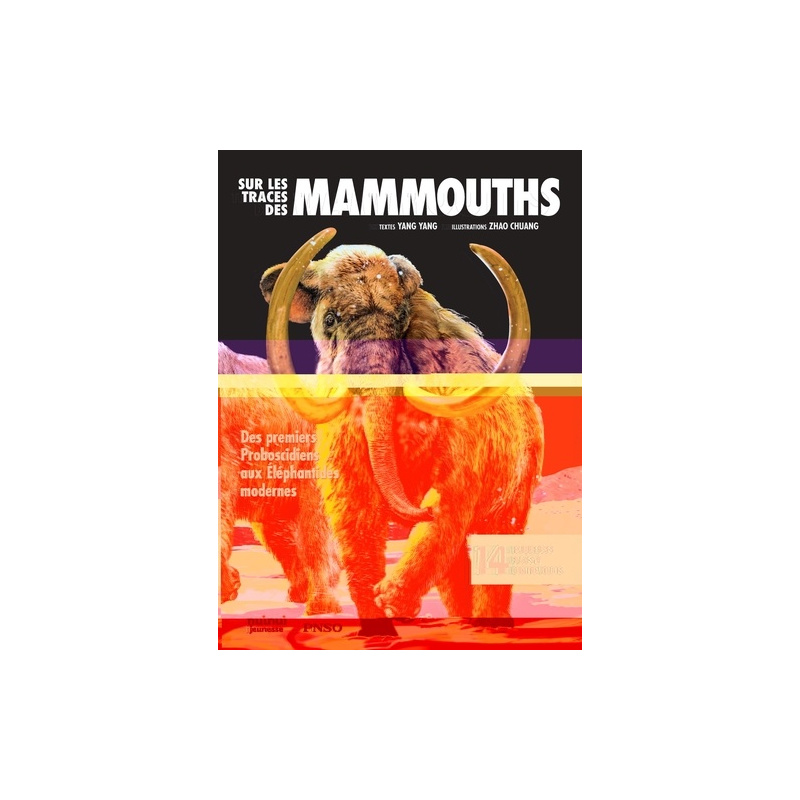 Sur les traces des Mammouths