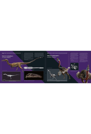 Petits dinosaures carnivores