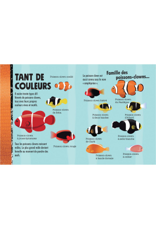 Construit en 3D ton poisson-clown géant - Avec 1 livre