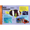 Construit en 3D ton poisson-clown géant - Avec 1 livre