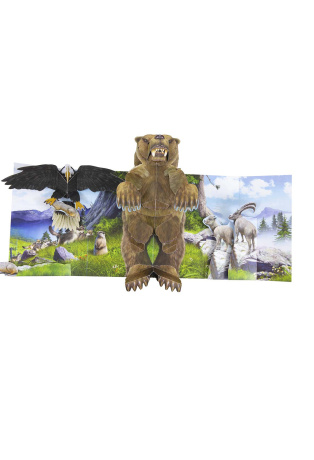Animaux - Pop-up XXL
