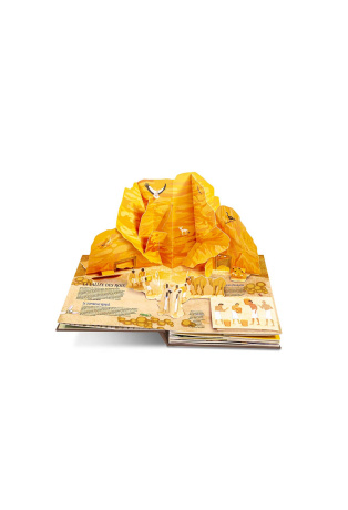 Toutankhamon, l'enfant pharaon - Pop-up deluxe