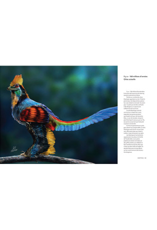 Nous dinosaures