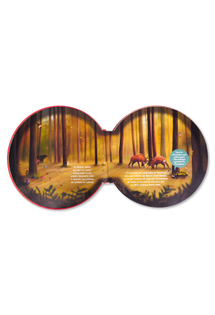 LES ANIMAUX ET LE TEMPS