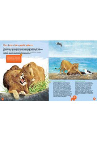 Guide des félins du monde