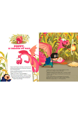 HISTOIRES DE DRAGONS PARLANTS (COLL. LIVRES PARLANTS)