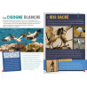 100 espèces d'oiseaux à découvrir
