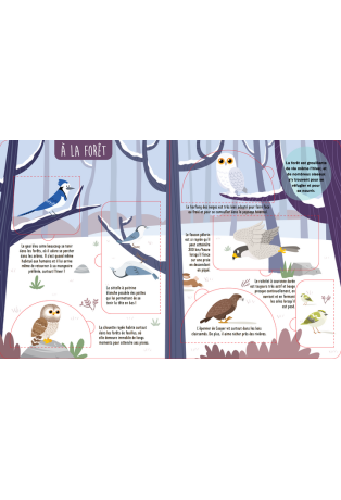 Tes amis les oiseaux