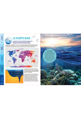 À la découverte des fonds marins