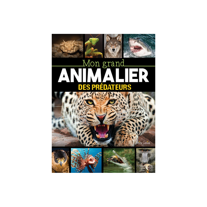 Mon grand animalier des prédateurs