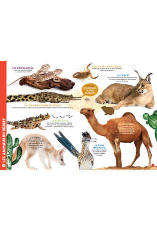 Mon livre géant des animaux