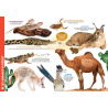 Mon livre géant des animaux