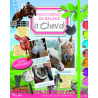 A cheval, mon carnet de balade