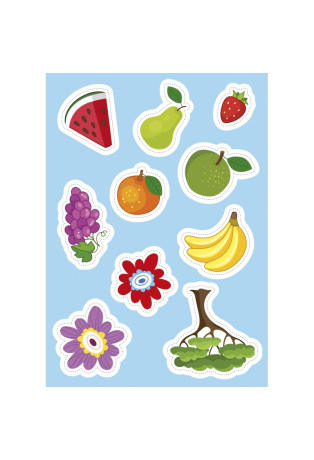 La nature - Avec 60 stickers