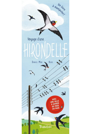 Voyage d'une hirondelle