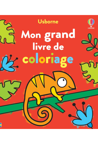Mon grand livre de coloriage