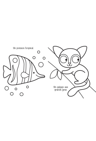 Les animaux