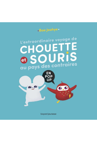 L'extraordinaire voyage de Chouette et Souris au pays des contraires