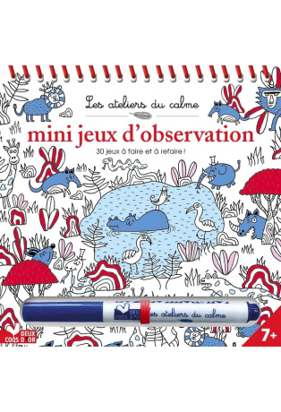 Mini jeux d'observation - Avec 1 feutre effaçable