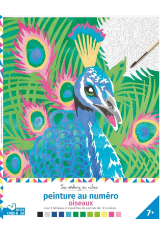 Peinture au numéro oiseaux