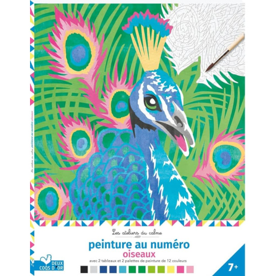 Peinture au numéro oiseaux