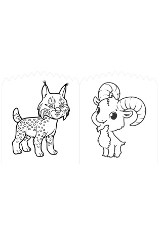 Colorie les animaux dans la nature