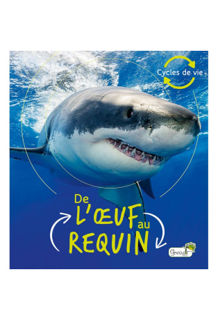 De l'oeuf au requin